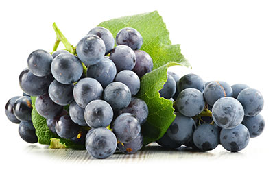 frutti-1 frutti-1